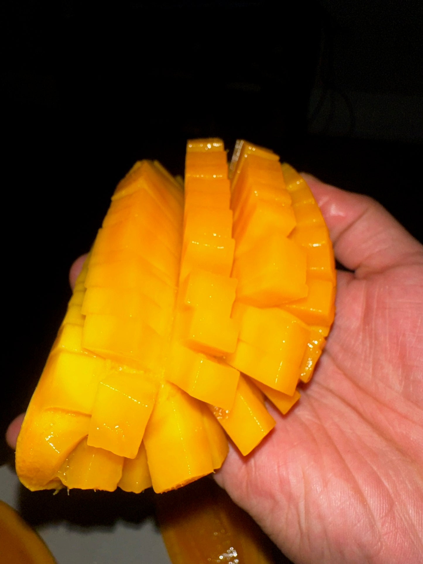 Caparros Farms Mahachanook mangos heirloom fiberless in season