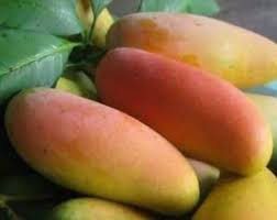 Maha Chanook Mango