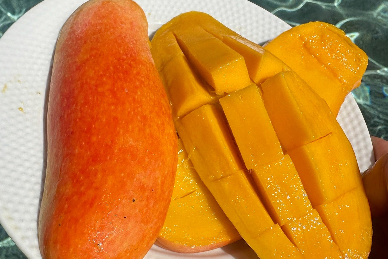 Wow Mangos - Maha Chanook Mangos - Large